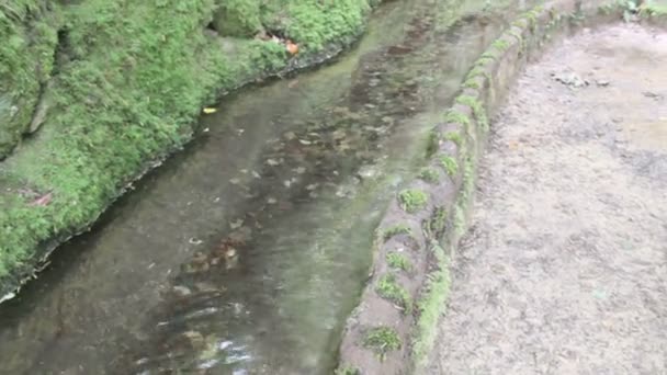 Parque da Pena à Sintra, Portugal — Video