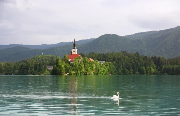 Sjön Bled, Slovenien — Stockfoto