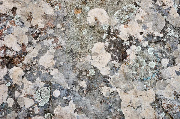 Stone surface — Stock Photo, Image