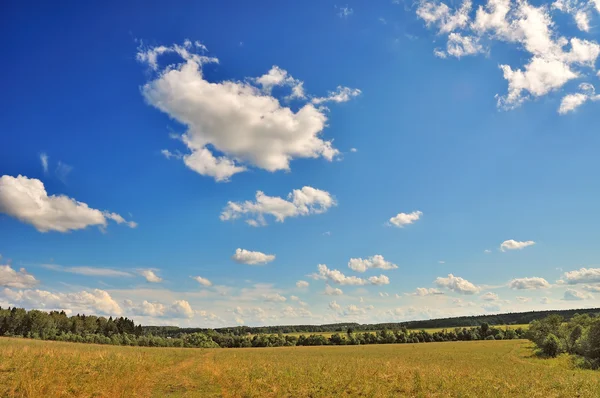 Rural landscape — Stock Photo, Image