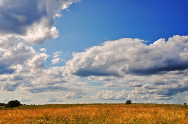 Sommarlandskap — Stockfoto