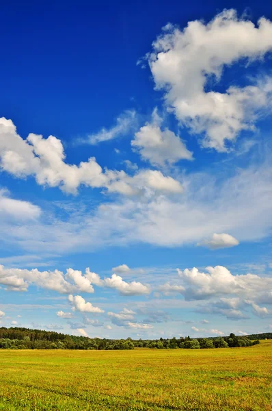 Sommarlandskap — Stockfoto