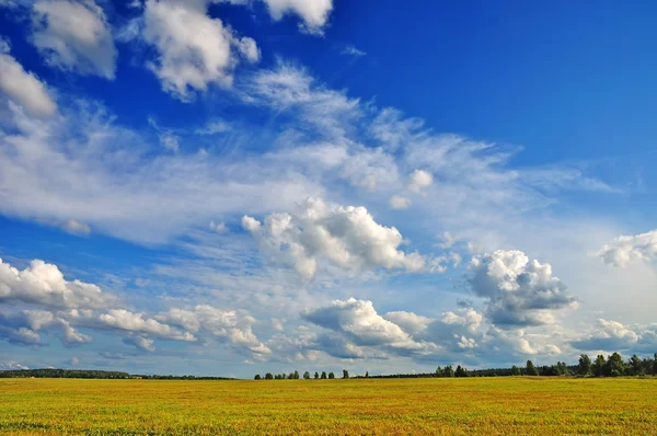 Paesaggio estivo — Foto Stock