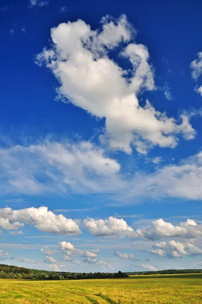 Paisaje verano — Foto de Stock