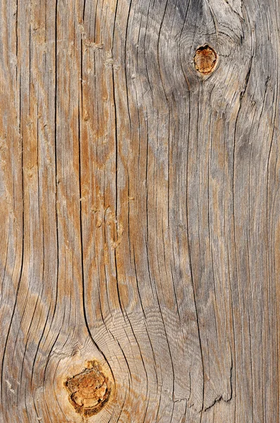 Textura de madeira — Fotografia de Stock