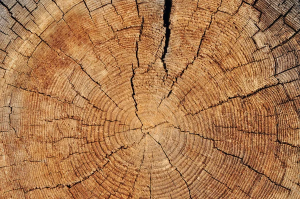 Ξεπερασμένο ξύλινα περικοπή — Φωτογραφία Αρχείου