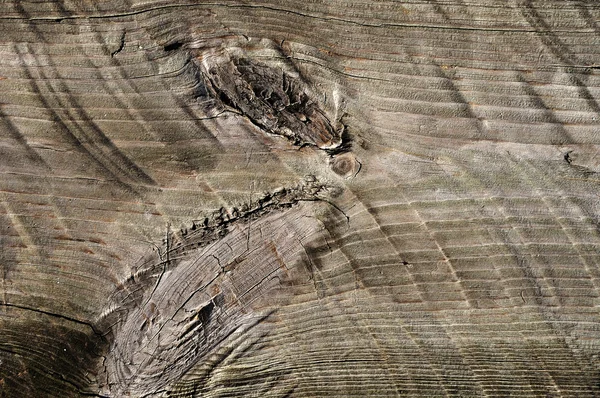 Wooden texture — Stock Photo, Image