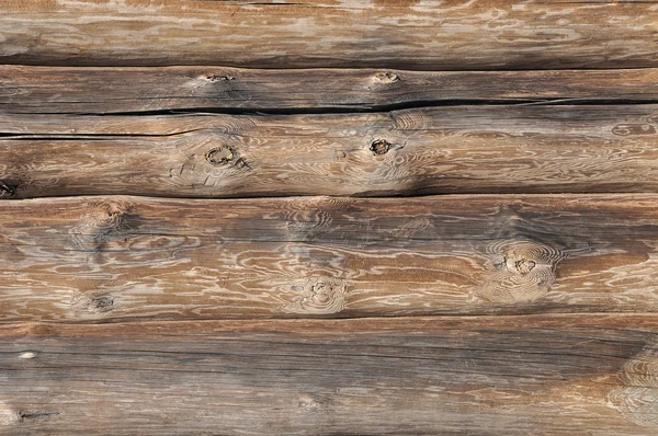 Holzstämme — Stockfoto