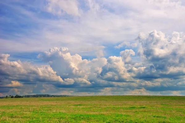 Paisaje verano — Foto de Stock