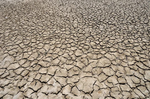 Dry ground — Stock Photo, Image