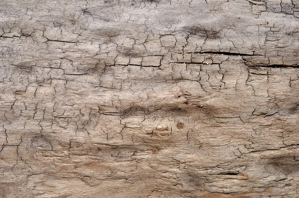 Holzstruktur — Stockfoto