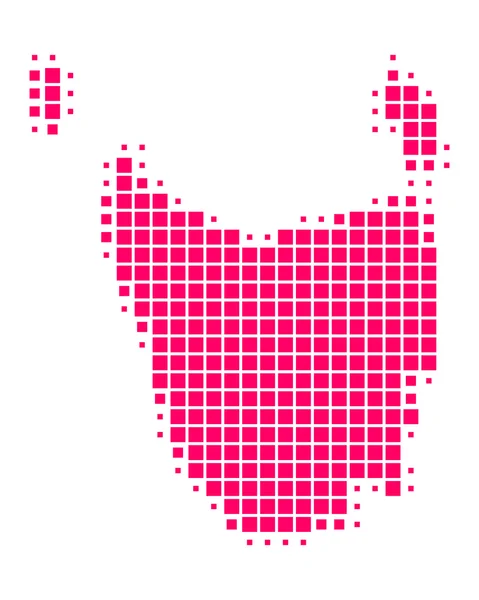 Mapa online de Tasmania — Archivo Imágenes Vectoriales