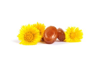 pastil coltsfoot çiçekli