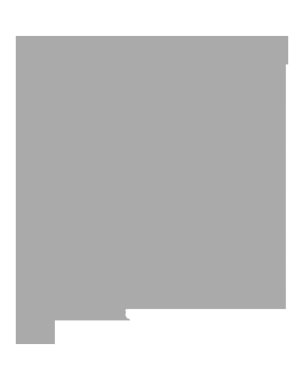 New Mexico Haritası