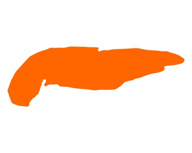 spiekeroog Haritası