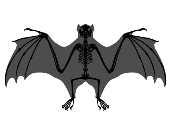Esqueleto de morcego —  Vetores de Stock