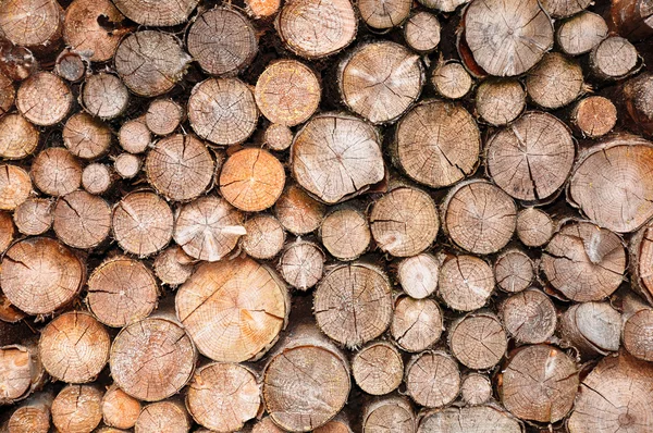 トウヒの木材の山 — ストック写真