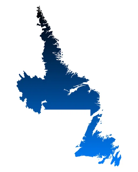 纽芬兰和拉布拉多地图 — 图库矢量图片