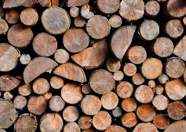 Montón de madera de abeto — Foto de Stock