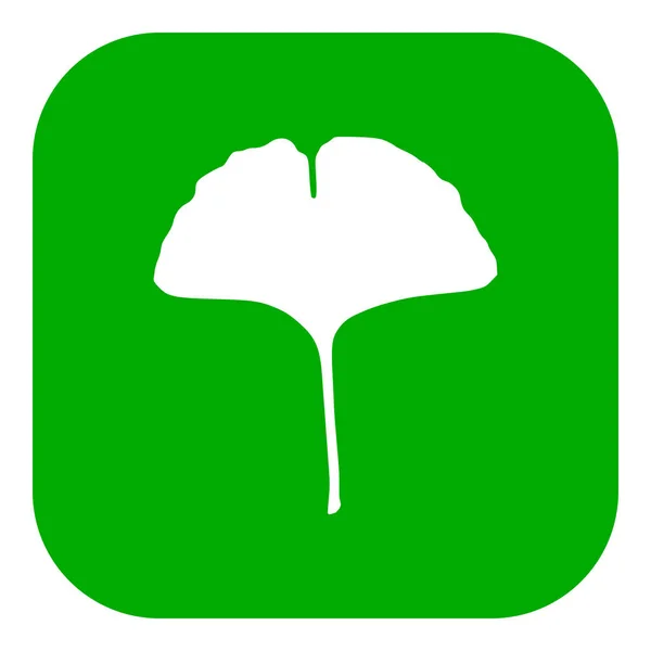 Ginkgo Blad App Pictogram Als Vector Illustratie — Stockvector