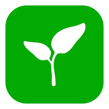 Vektör illüstrasyonu olarak bitki ve uygulama simgesi