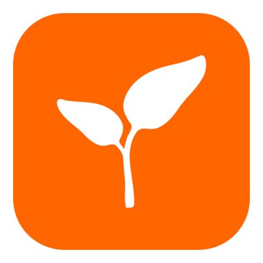 Vektör illüstrasyonu olarak bitki ve uygulama simgesi