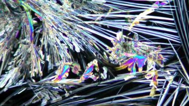 vitamin b mikroskop altında crystalls
