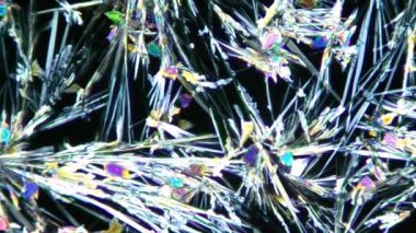 vitamin b mikroskop altında crystalls