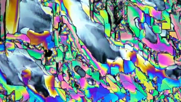 Crystalls of vitamin B under microscope — Stock Video