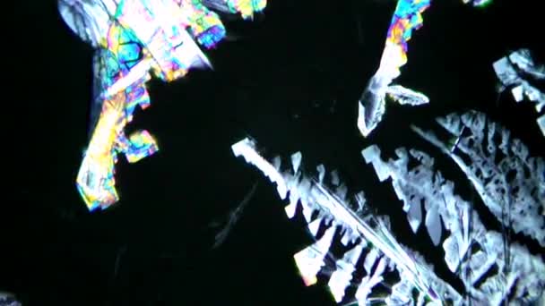Кристаллы витамина В под микроскопом — стоковое видео