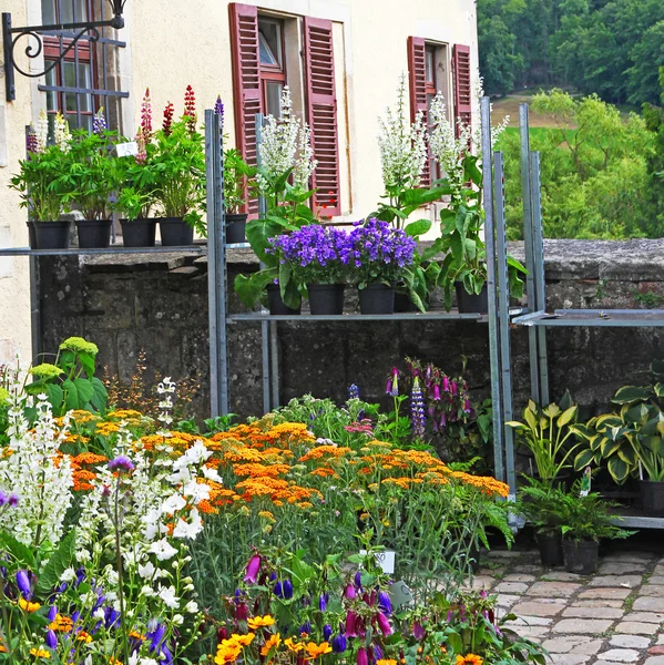 Tyskland. Tubingen. — Stockfoto