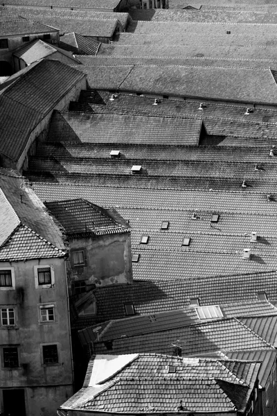 Portugal. Ciudad de Oporto. Techos en blanco y negro — Foto de Stock