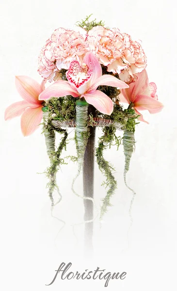 Floristique. Orchidee e garofani — Foto Stock