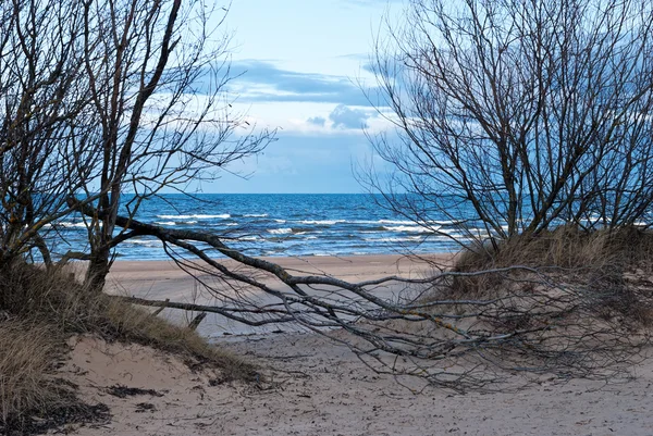 Golfo di Riga in inverno — Foto Stock