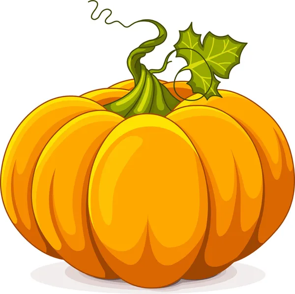 Autumn Pumpkin — Stock Vector