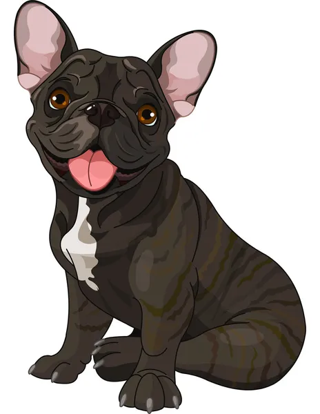 Bouledogue mignon — Image vectorielle