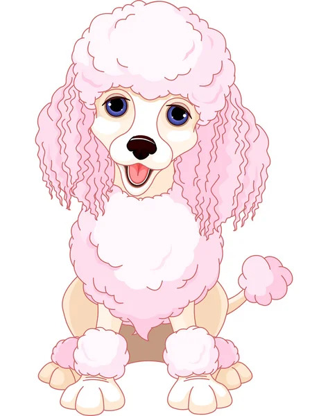 粉红色的狮子狗 — 图库矢量图片