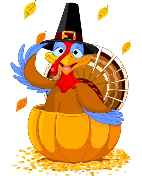 Thanksgiving Turkey in the pumpkin — Stock Vector