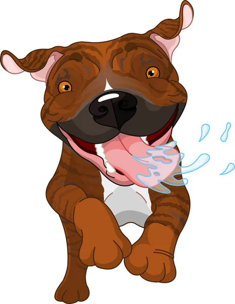 Emocionado brindle Pit Bull Dog — Vector de stock