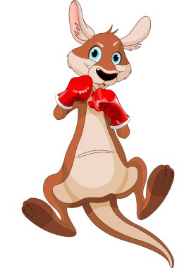 boks kanguru