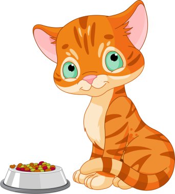 şirin kedi yavrusu