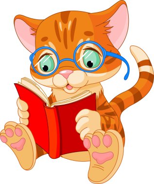 şirin kedi yavrusu eğitim