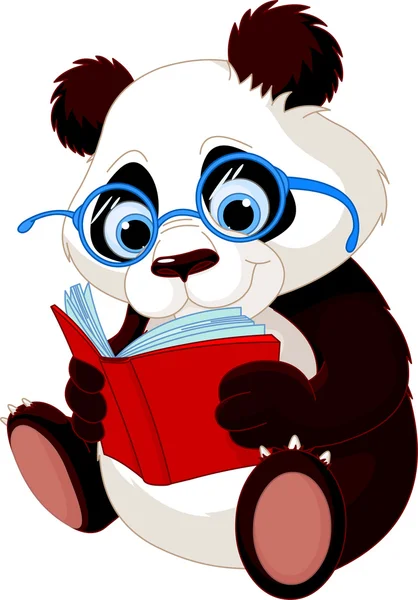 Cute Panda Education — Stock Vector