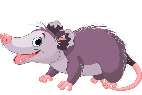 Opossum — Stockvector