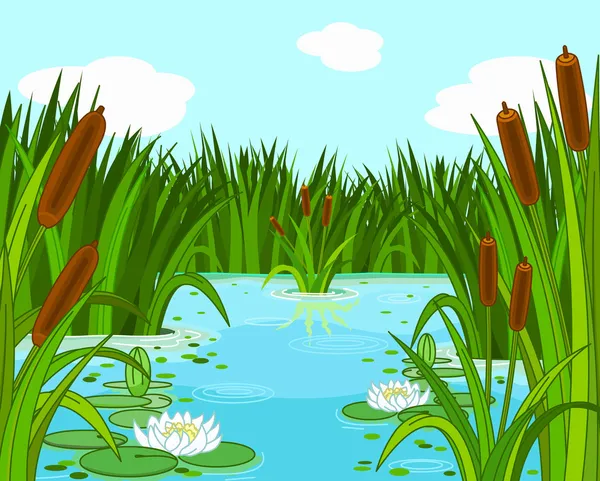 Pond scene — Stock Vector