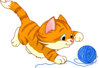 oynak yavru kedi