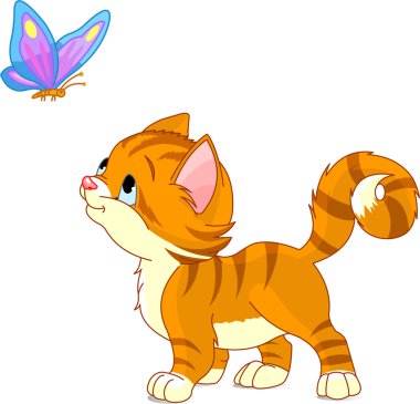 yavru kedi kelebek için arıyorsunuz