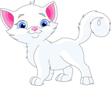 beyaz kedi