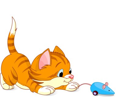 oynak yavru kedi