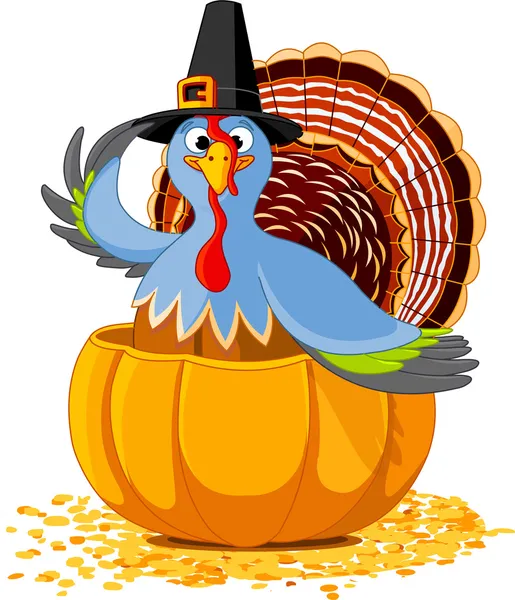 Thanksgiving Turkey in the pumpkin — Stock Vector